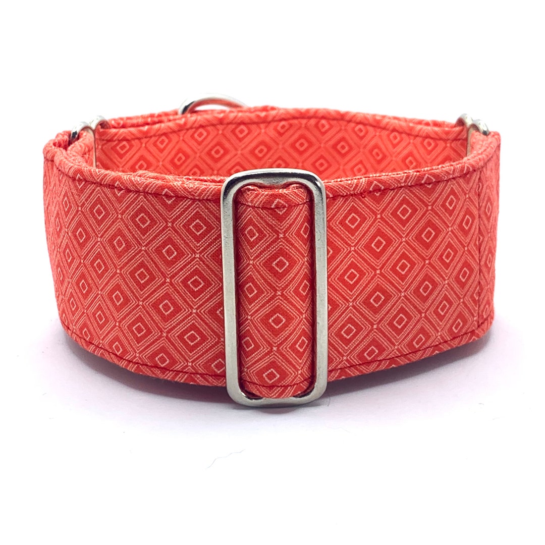 Martingale Noslip Collar 1.5 or 2 Wide Sighthound Dog Etsy