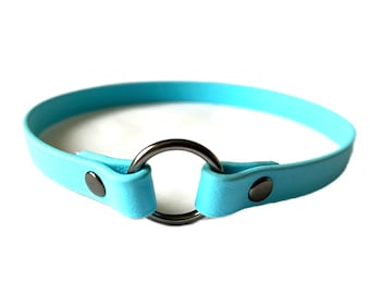 Collare Biothane House, collare identificativo leggero e impermeabile, collare identificativo, collare con targhetta - Azzurro pallido