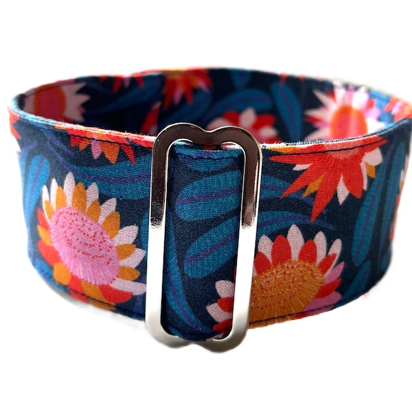 Jocelyn Proust Martingale Dog Collar, 1.5 or 2” wide, House Collar & Lead Sets, Greyhound, Sighthound Collar - King Protea