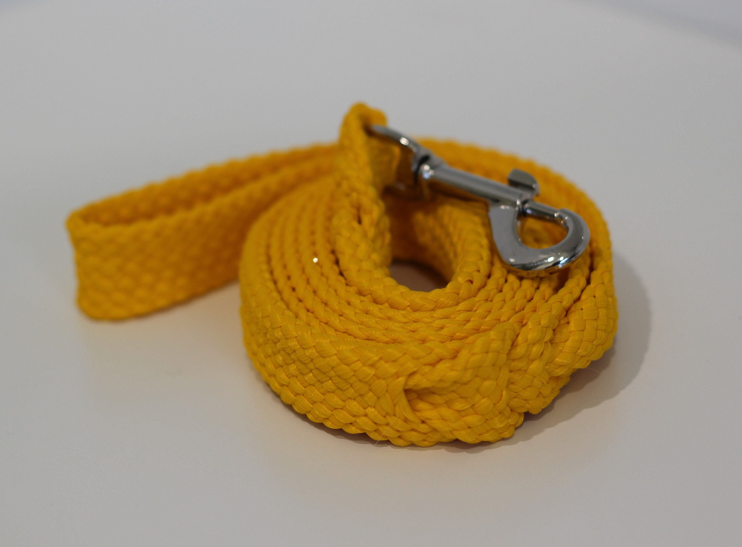 Yellow Dog Leash Basics Range Etsy