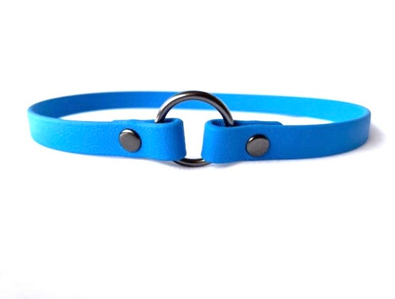 Biothane ID Tag Collar House Collar Vegan Leather Pet Collar Thin Collar Sky Blue Etsy Canada