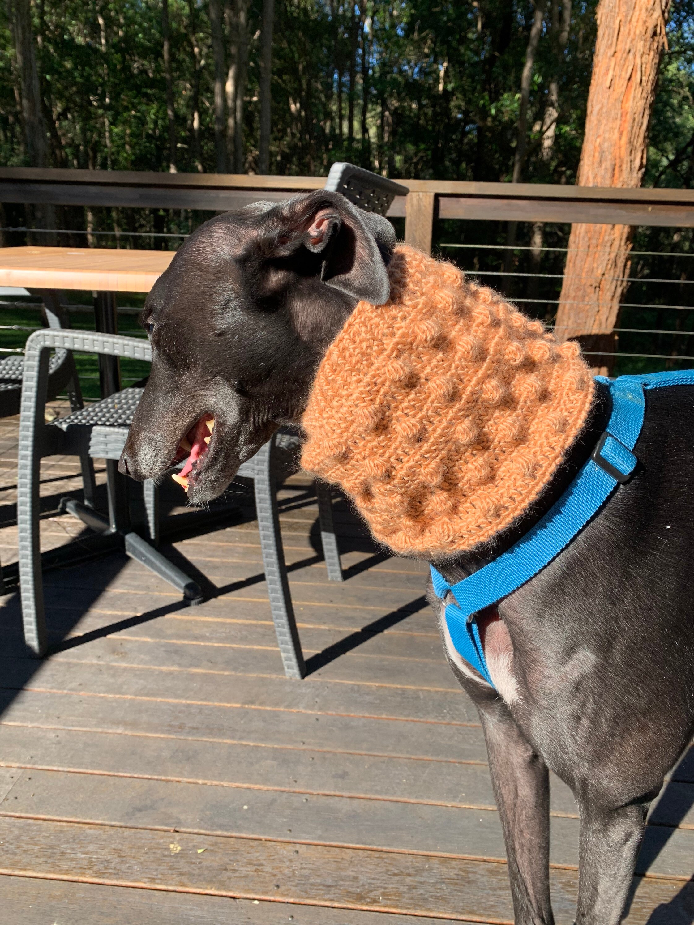 Greyhound Neck Warmer Various Etsy Australia