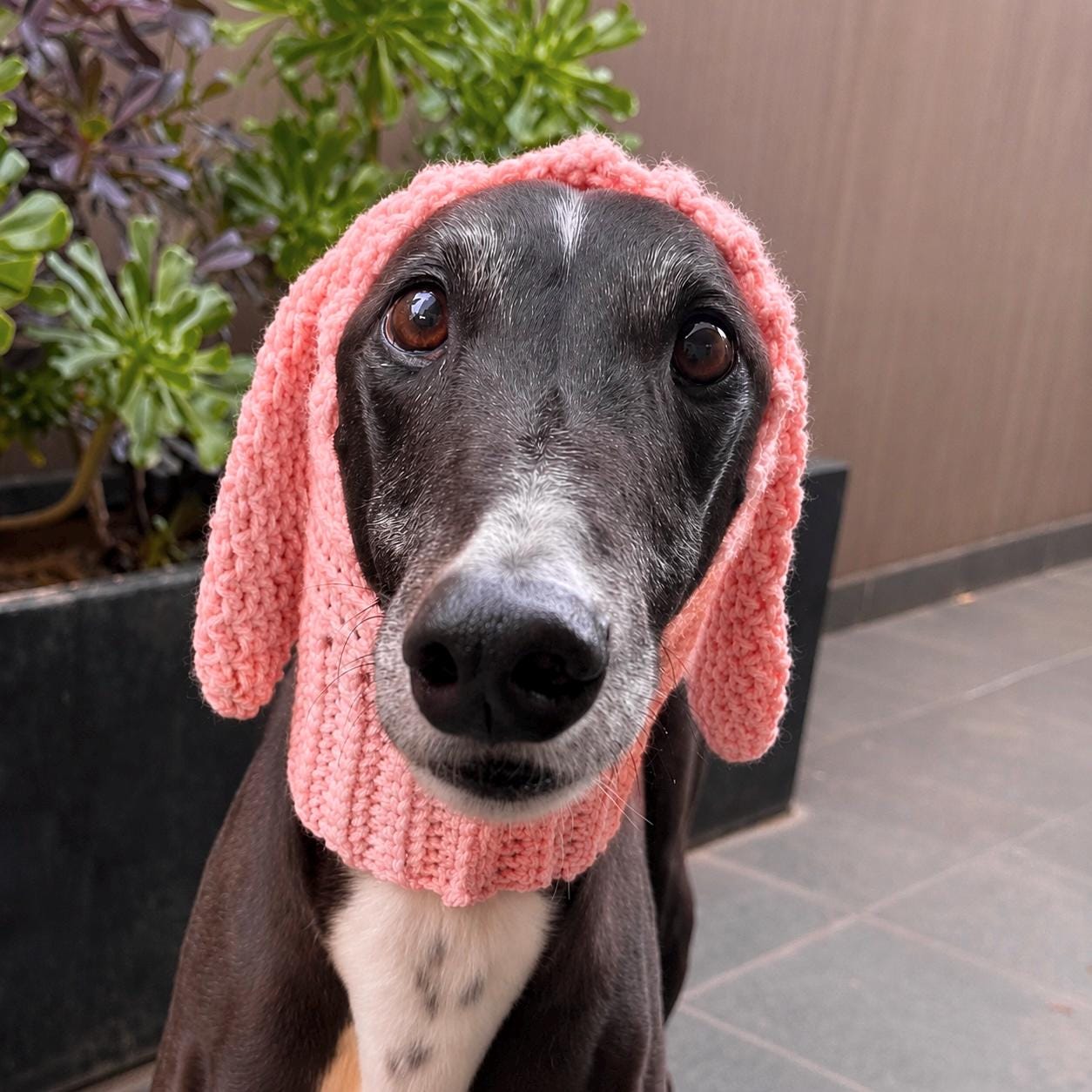 Animal Snoods - Handmade Crochet Dog Snood, Novelty Neck Warmer