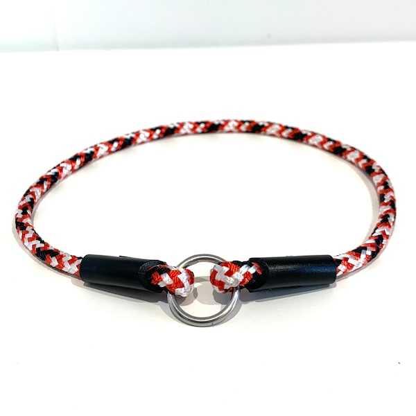 House / ID Tag Collar - St Kilda Saints Red White and Black