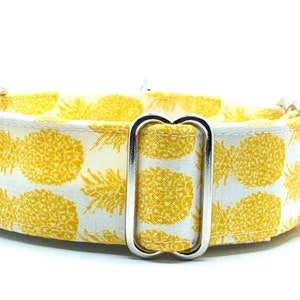 Martingale Dog Collar, 1.5” or 2” Wide, Sighthound Dog Collar, Greyhound, Whippet Collar - The Pineapple