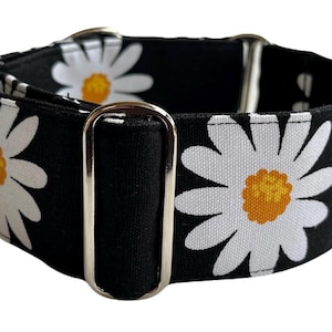 Martingale Dog Collar, 1.5 or 2” wide, House Collar & Lead Sets, Greyhound, Sighthound Collar - Daisy on Black
