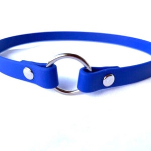 Biothane ID Tag  Collar, House Collar, Vegan Leather Pet Collar, Thin  Collar - Royal Blue