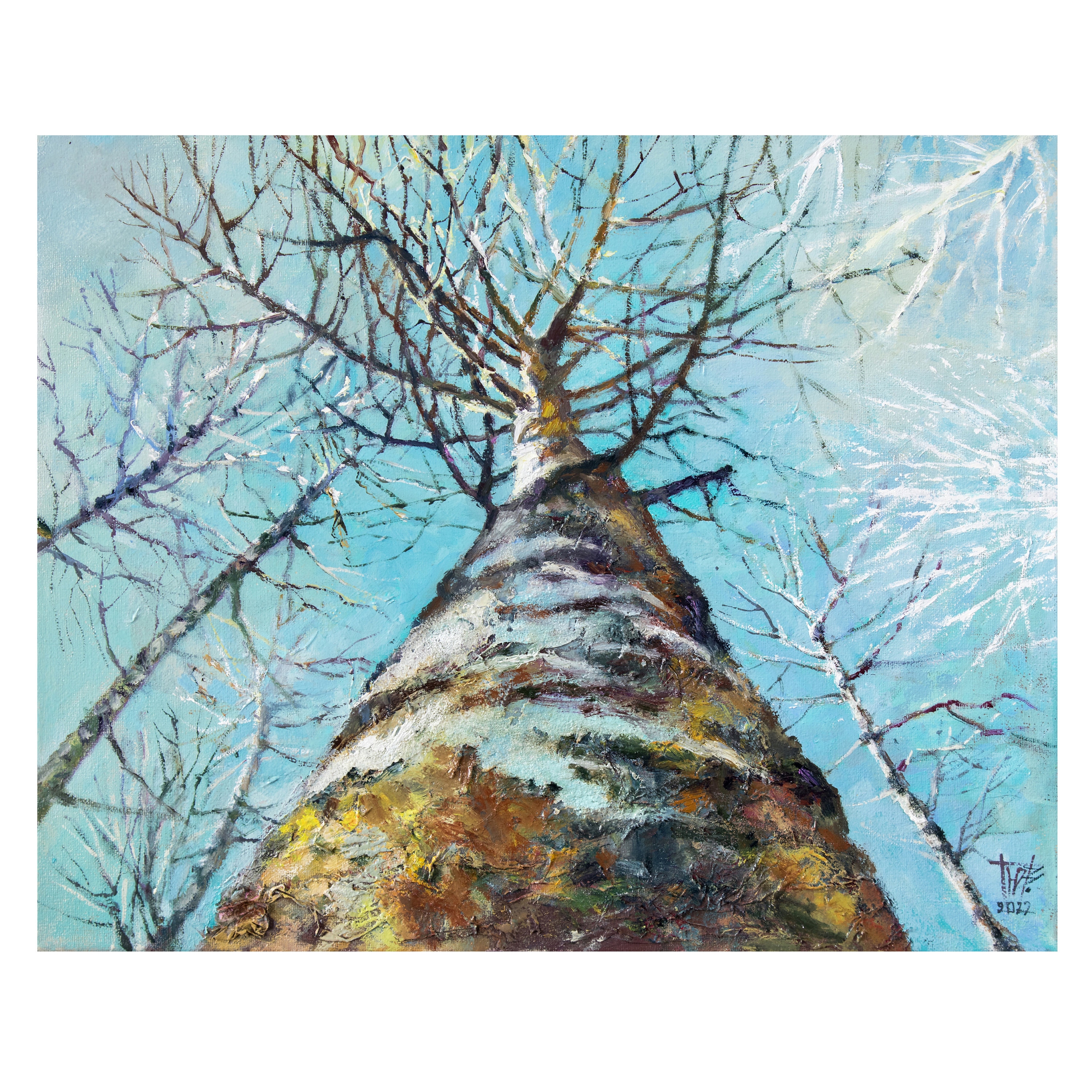 ポプラの木の油絵 ウクライナ絵画、キャンバスに油絵、木の油絵、木の