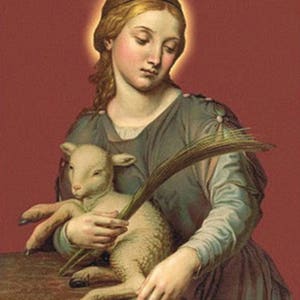 St Agnes of Rome Medal Italy Pendant Necklace 24" Ball Chain Gift Box ...