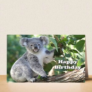 Birthday card: Koala. Printable digital photo card download. Cute Australian animal. Instant download. Australia. Animal birthday printable