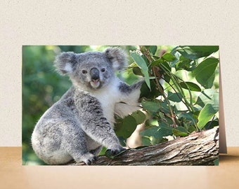 Koala card. Printable digital photo card download. Cute Australian animal. Cuddly. Wildlife. Greeting card. Children's card. Birthday card.
