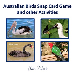 Australian Birds Snap Card Game and other Activities. Digital download. Kids. Seniors. Printable. Games. Cards. Dementia. Brain injured.