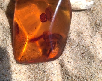 Natural Baltic amber polished stone