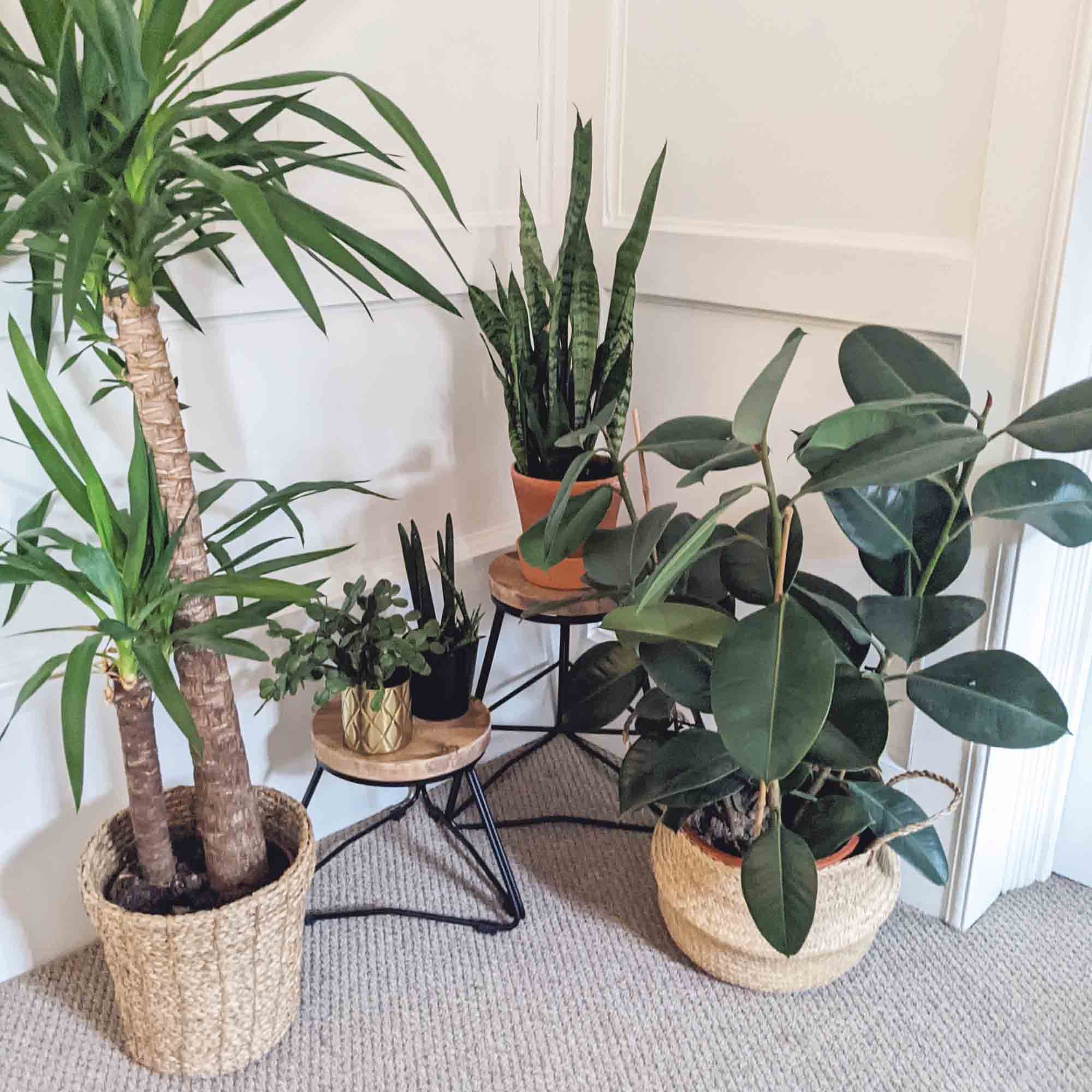 Reclaimed Handmade Wood Plant Stools/Stands, Solid Steel Legs, Different Heights Available