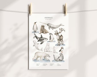Children's Wall Art, Animals of the Arctic Poster, Animal Poster, Nursery Prints, Arctic Animals Print, Baby's Nursery, Digital Print,