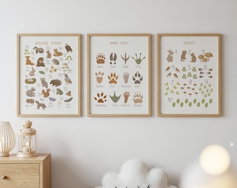 Woodland Alphabet and Numbers Prints: Nursery Playroom Decor (Digital Prints), Set of 3, Animal Tracks