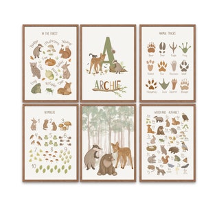 Estampados de bosques para combinar, decoración de animales del bosque, estampados para niños, estampados para guarderías, estampados de bosques para guarderías, huellas de animales, estampados con alfabetos de bosques