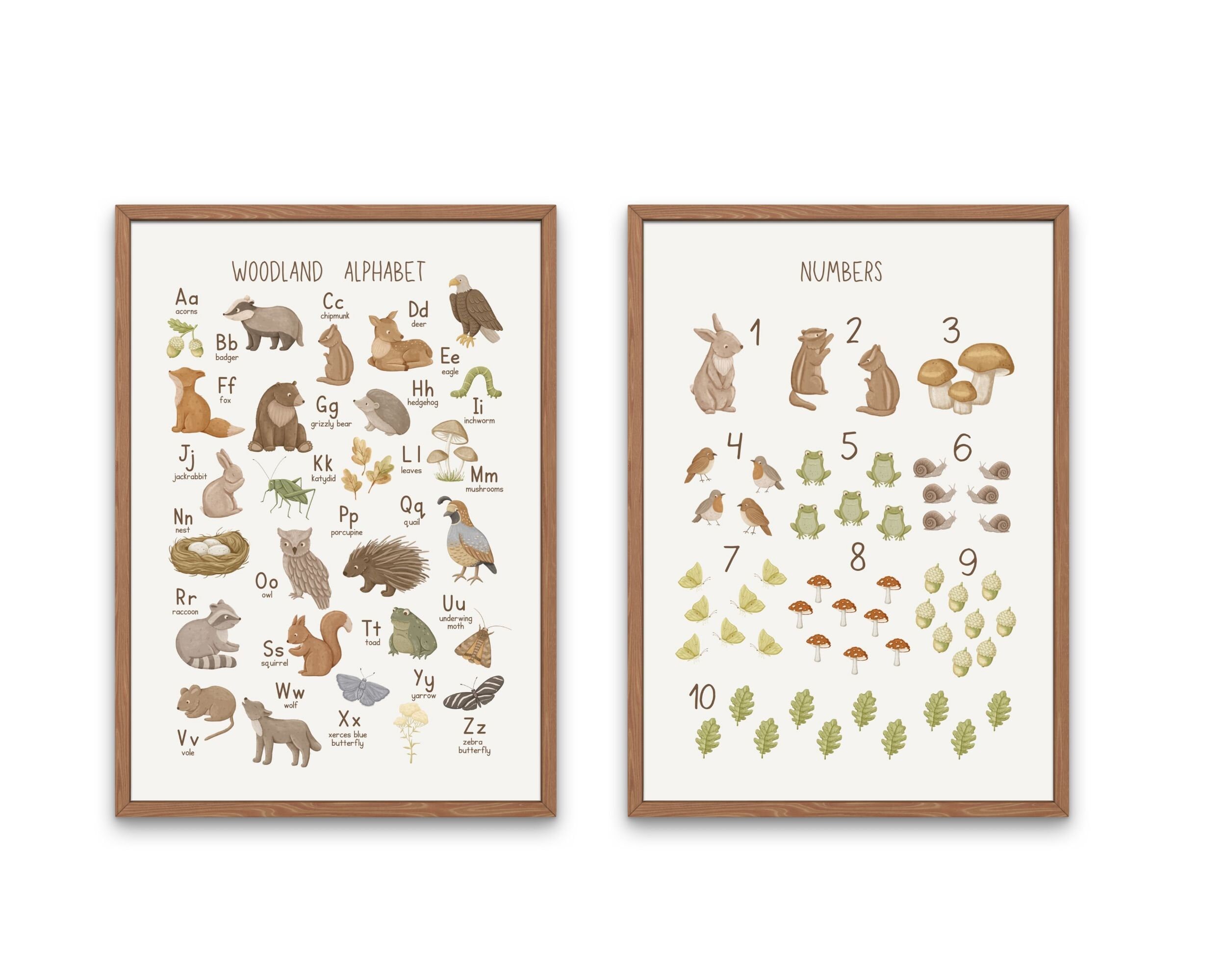 Woodland Alphabet and Numbers Prints: Nursery Decor (digital Download ...