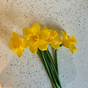 May include: A bouquet of three bright yellow daffodils with green stems. The flowers are in full bloom, with ruffled petals and a prominent central trumpet. The arrangement is set against a speckled white background.