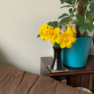 May include: A small, dark brown vase holds a bouquet of bright yellow daffodils. The vase sits on a dark wooden surface next to a turquoise blue plant pot with green leaves. A brown sofa is in the foreground.