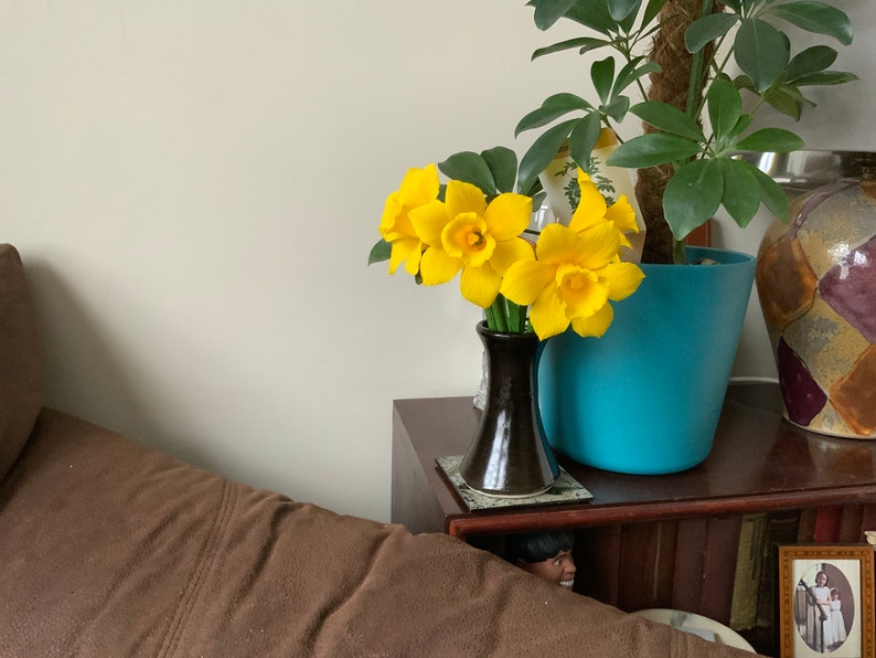 May include: A small, dark brown vase holds a bouquet of bright yellow daffodils. The vase sits on a dark wooden surface next to a turquoise blue plant pot with green leaves. A brown sofa is in the foreground.