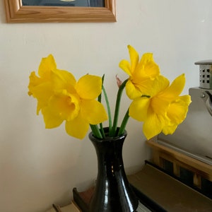 May include: A black vase holds a small bouquet of bright yellow daffodils. The flowers have ruffled petals and green stems. The vase sits on a wooden surface, with a decorative metal lantern in the background.