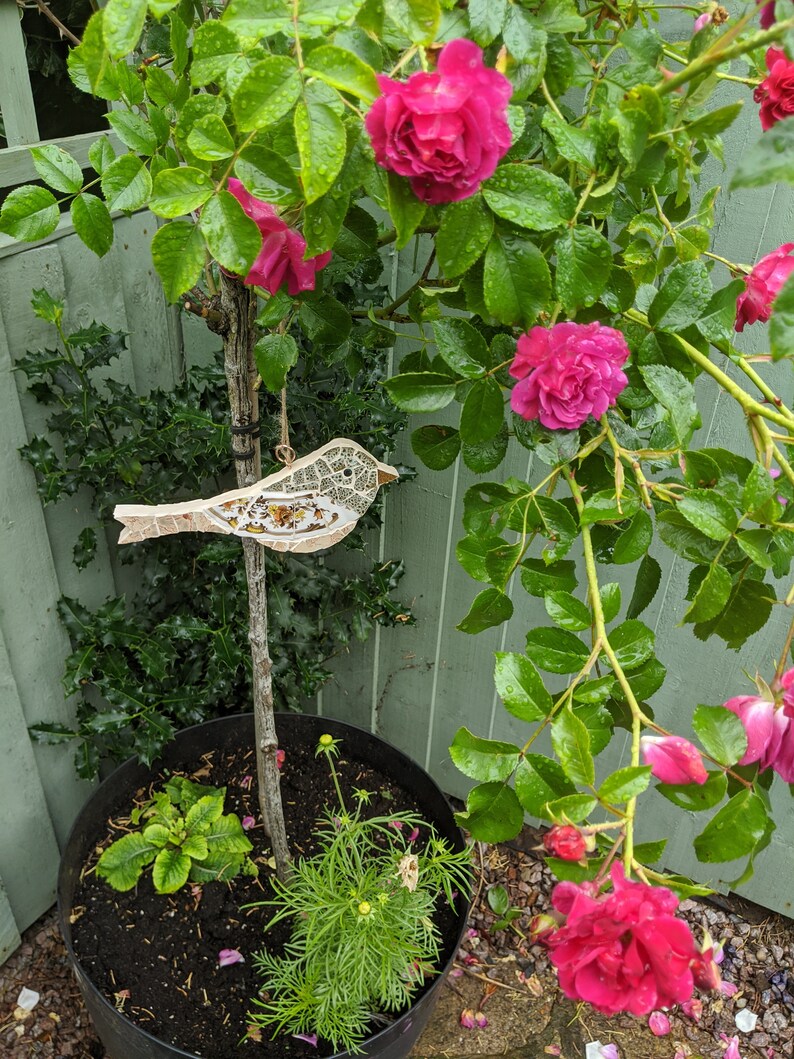 Mosaic Bird