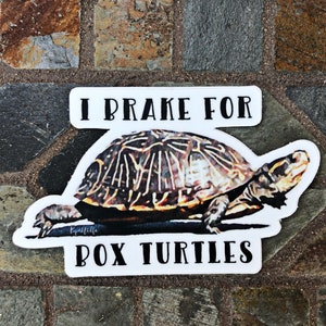 May include: A sticker with the text "I Brake for Box Turtles" above a detailed illustration of a box turtle. The turtle has a brown and tan shell with a dark brown head and legs. The sticker is white with a black border.