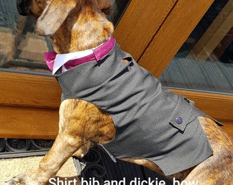 Dog Groomsman Waistcoat for Weddings and Special Occasions