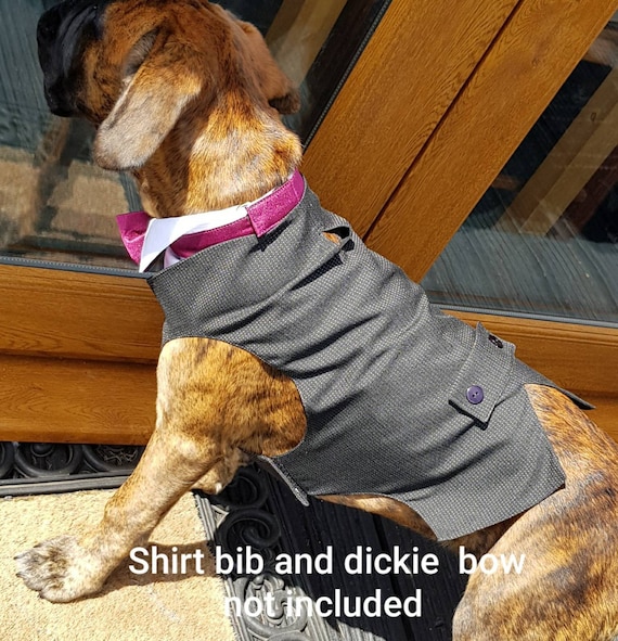 Etsy dog clearance jacket