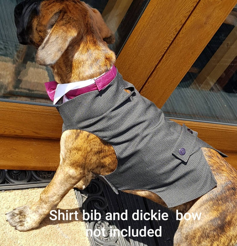 Dog waistcoat. Dog wedding clothes. Dog wedding attire. dog Etsy