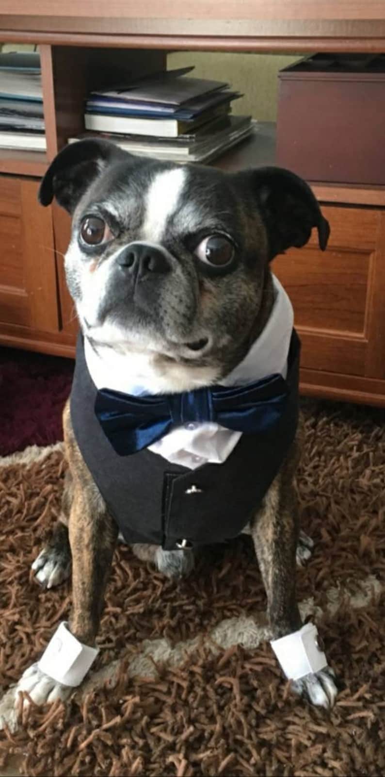 Dog waistcoat. Dog wedding clothes. Dog wedding attire. dog Etsy