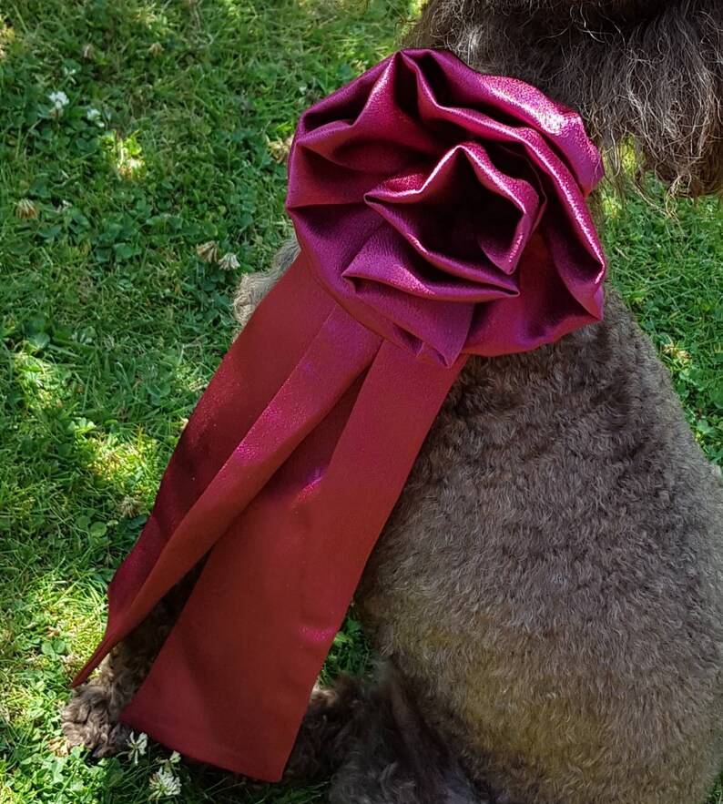 Dog bridal clothes. Dog bridal rosette & tails. Dog wedding Etsy