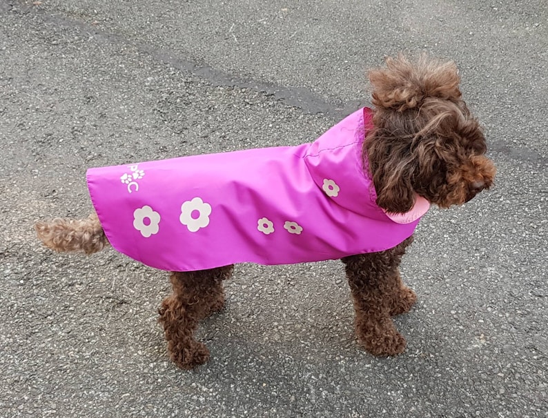 Dog Raincoat. Dog Waterproof Coat. Dog Walking Mac. Raincoat Etsy