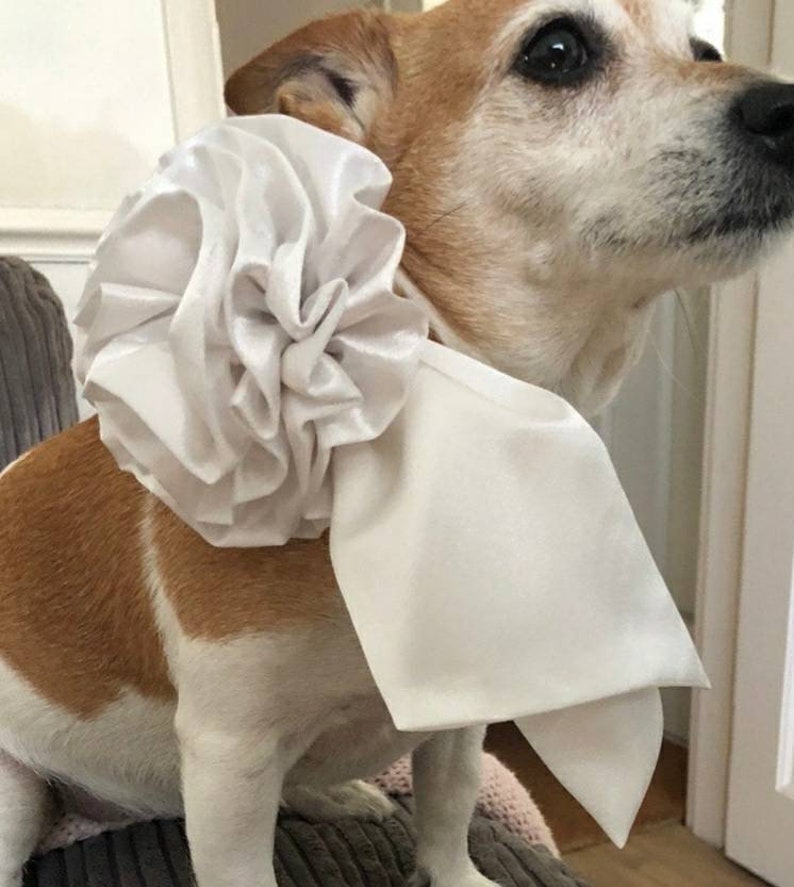 Dog bridal clothes. Dog bridal rosette & tails. Dog wedding Etsy