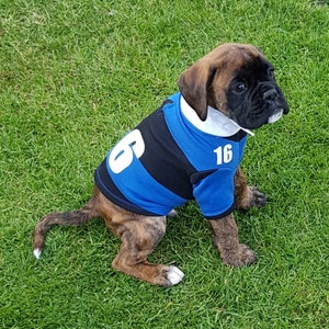 Dog Rugby Shirts. Dog clothes. Dog sweatshirts. Dog outdoor attire. Outdoor wear for dogs. Dogs outdoor clothing. Dogs sports top.