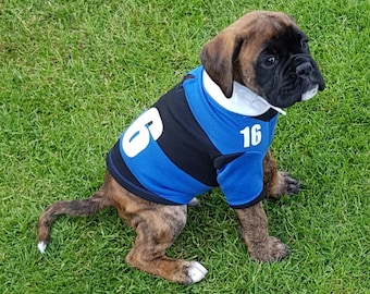 Dog Rugby Shirts. Dog clothes. Dog sweatshirts. Dog outdoor attire. Outdoor wear for dogs. Dogs outdoor clothing. Dogs sports top.