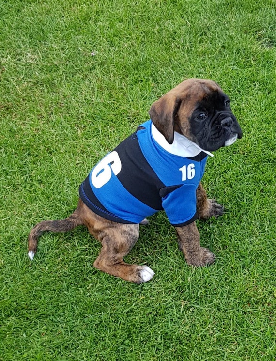 Dog Rugby Shirts. Dog clothes. Dog 