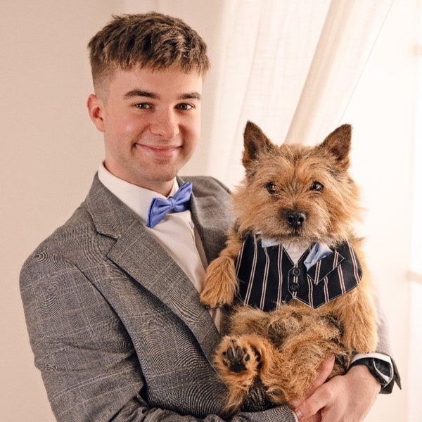 Dog blue pinstripe waistcoat style bib, with a dickie bow, for weddings and special occasion. Dog ring bearers link available.