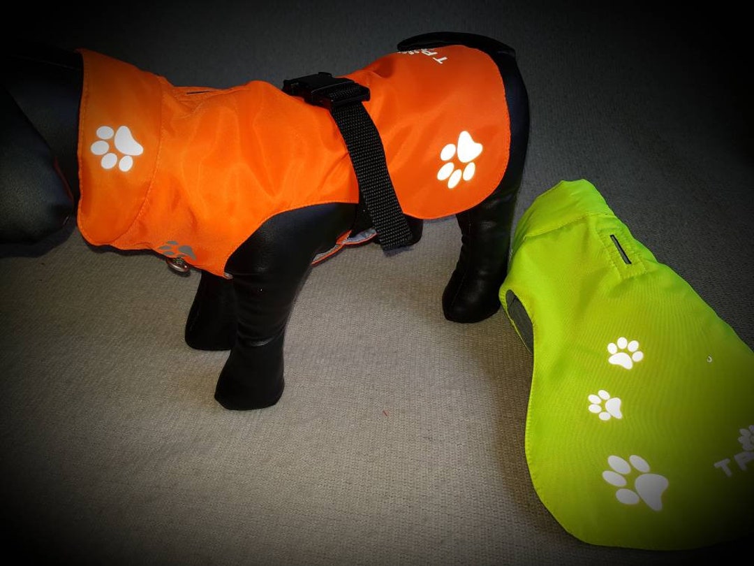 Dog Safety Paw Print Jacket. Dog High Visibility Jacket. Dog Padded