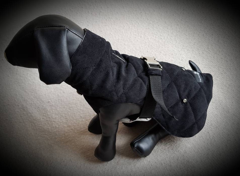 Dog Padded Coat. Dog Faux Suede Coat. Dog Walking Jacket. Etsy