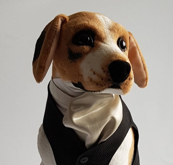 Dog Wedding Clothes. Dog Wedding Attire. Dog Cravat and Shirt. Etsy