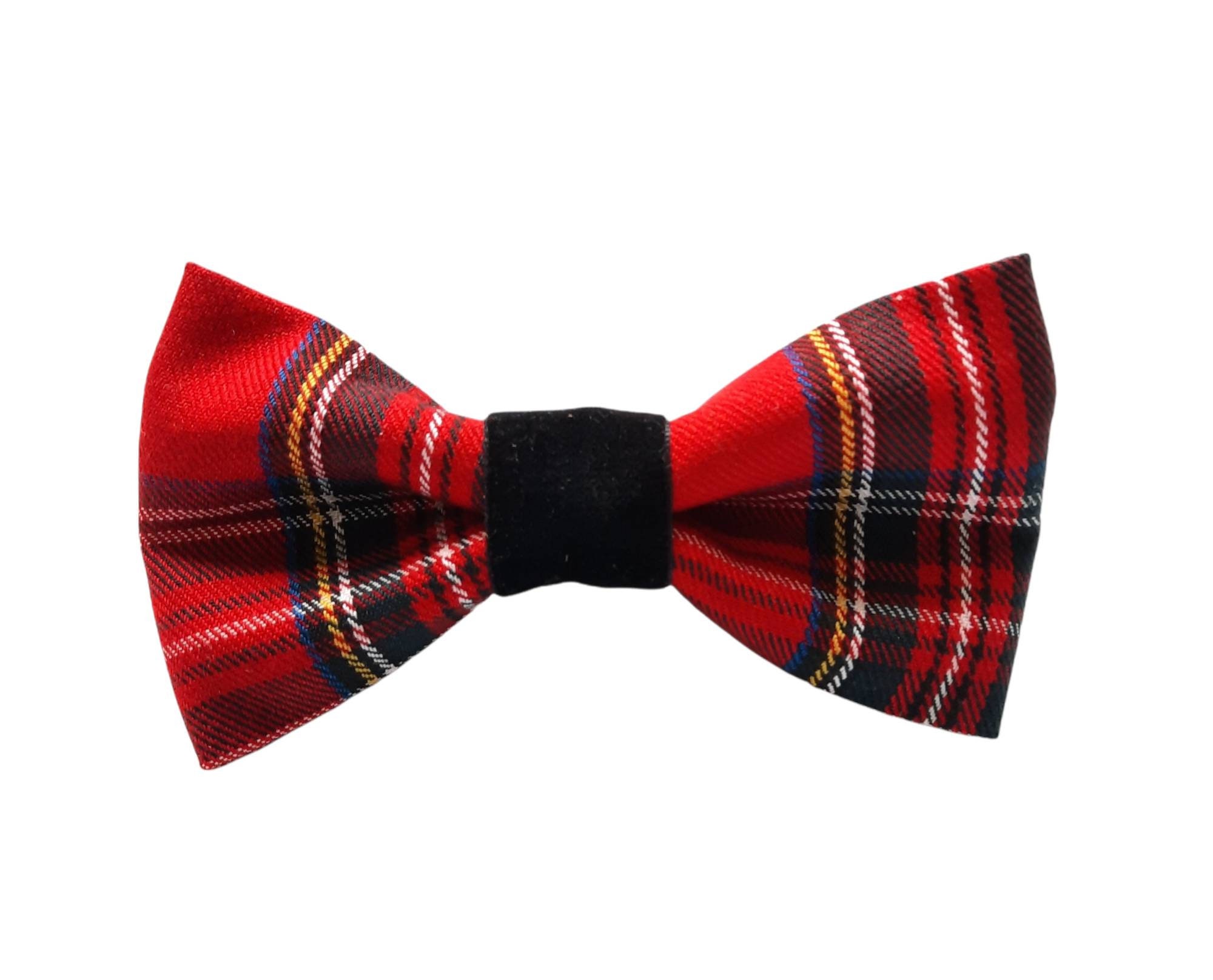 Cat Dickie Bows Etsy UK