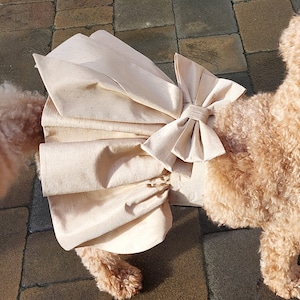 Dogs dupion and taffeta skirts, with bow and tails, for wedding or special occasions. Dog ring bearers outfit.