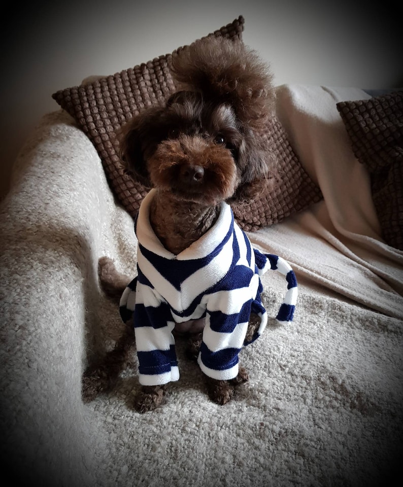 Matching Dog Dressing Gown. Owner and Dog Dressing Gown Set Etsy UK