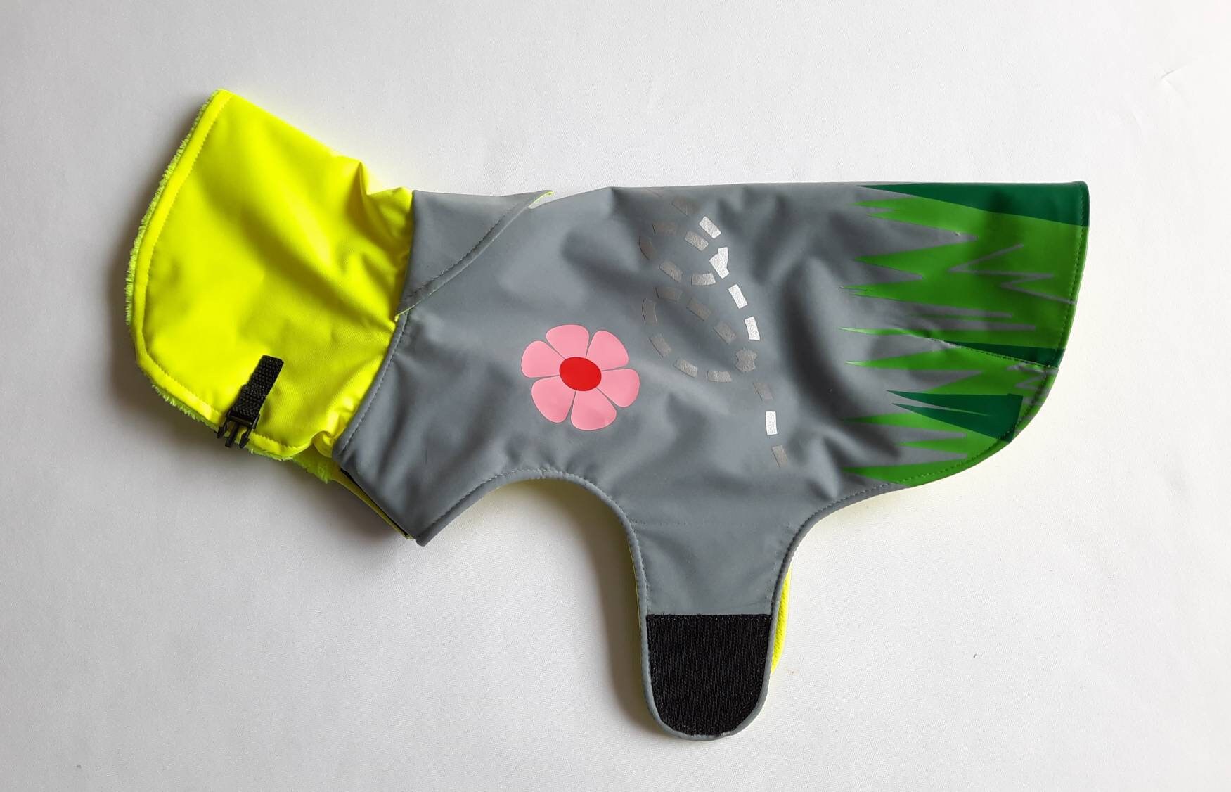 raincoat dog walking