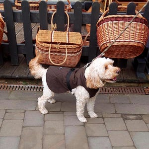 Dogs waterproof quilted waxed outdoor walking jacket