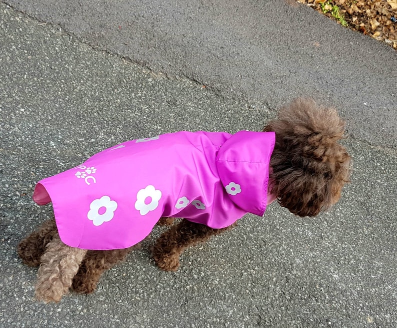 Dog Raincoat. Dog Waterproof Coat. Dog Walking Mac. Raincoat Etsy
