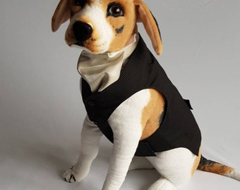 Dog Cravat ou Ascot noeud et chemise factice pour les mariages et les occasions spéciales. Avec jeu de brassards en option. Tenue de porteurs d’anneaux pour chien.