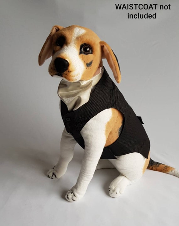 Ascot Collar - Brown Leather Hand Made Dog Collar